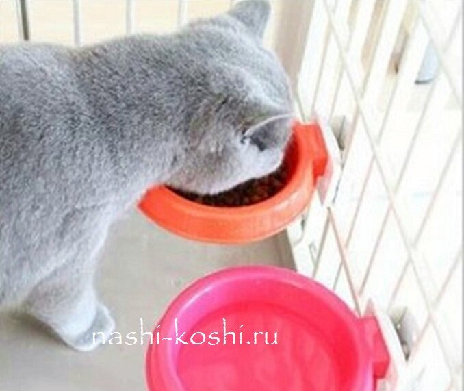  миски для кормящих кошек