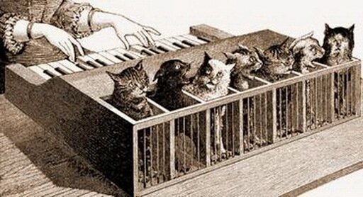 кошачий клавесин